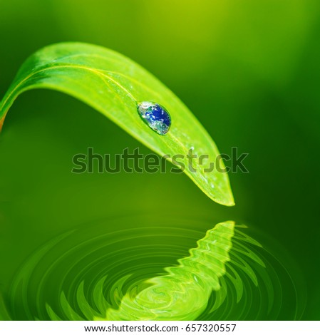 Similar – Image, Stock Photo unfold Aquatic plant