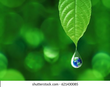 Earth in water drop reflection under green leaf, water and environment concept, Elements of this image furnished by NASA - Shutterstock ID 621430085