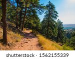 earthen footpath with rocks among tall trees and green and yellow meadows on a sunny late summer day in Chautauqua Park in Boulder Colorado