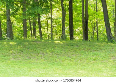 Earthworks With Trees On Top At Fort Ancient.  These Were Built By The Native American Mound Builders, The Hopewell People.  A Historic Landmark, There Is An Attempt To Make It A UNESCO Site.