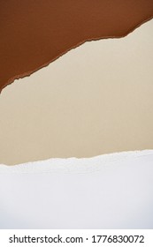 Earthy brown, beige and white torn paper background. Overhead Summer theme - Earth tones flatlay.