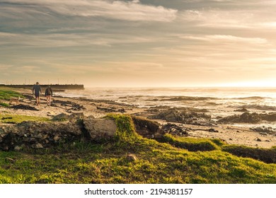 An Earthy And Grassy Sea Shore With A Man, Woman And A Dog In The Background