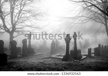 An eary mist covering an English grave yard with about fifty grave stones, the headstones in the foreground are in the shape of large Cristian crosses, two large winter trees 