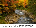 The east branch of the Nulhegan River in northeastern Vermont during peak fall foliage. 