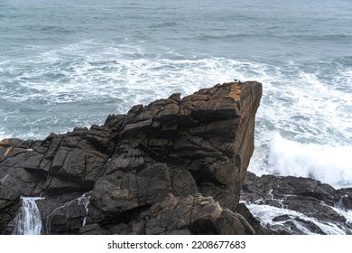 East Coast Of North Island Of New Zealand, The Wave Come Into The Coast.