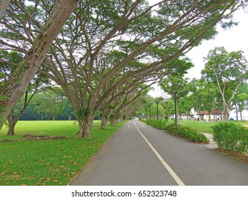 East Coast Park Singapore.