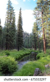 East Fork Of The Black River