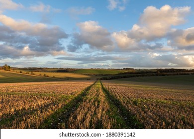 East Garston, Berkshire, England - December 20th 2020: Stubble field in late afternoon winter sunlight