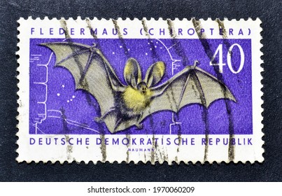 East Germany - circa 1962 : Cancelled postage stamp printed by East Germany, that shows Brown Long-eared Bat (Plecotus auritus), circa 1962.