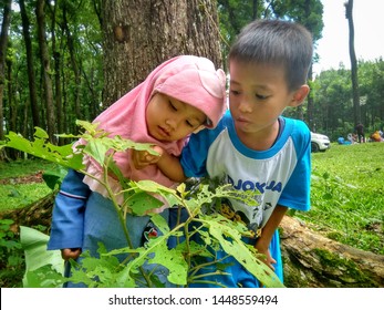 East Java, Indonesia - July 12, 2019: Two Little Children Learning From Nature, They Want To Know More About Something That Is In Nature