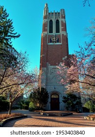 East Lansing, Michigan, USA - April, 9, 2021: Beaumont Tower, symbol of Michigan State University, in early spring. Blue cloudless sky, pink cherries about to bloom. No people, vertical.