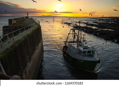 East Neuk Harbours