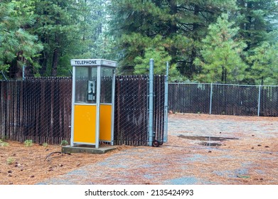 East Quincy, California, USA - November 24, 2017: Phone booth in a pine forest