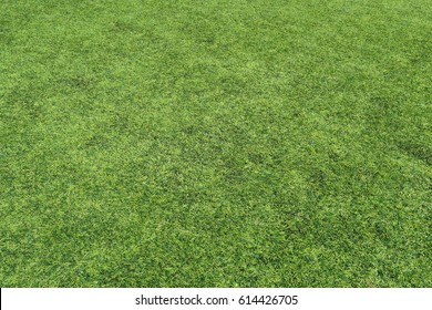 EAST RUTHERFORD, NEW JERSEY - MARCH 30, 2017: MetLife Stadium. Grass on the football field. Editorial use only. 