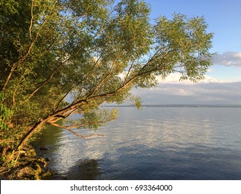 The East Shore Of Seneca Lake Is Colored Gold By The Setting Sun Across The Water, Sampson State Park, Seneca County, Finger Lakes, NY