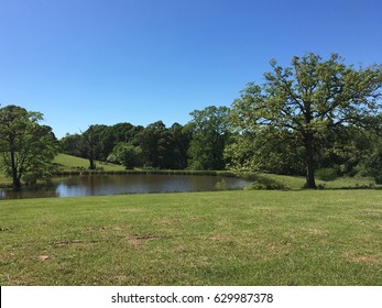 East Texas Scenery