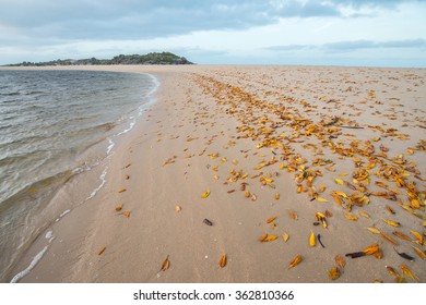 East Woody Beach An Iconic Tourist Attraction Place Nearly Nhulunbuy Town Of The Northern Territory State Of Australia.