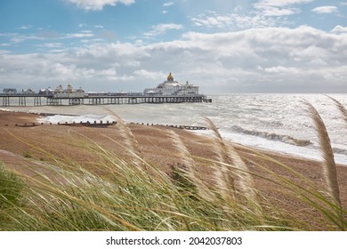 Eastbourne beach and Pier, East Sussex, England. A summertime view through pampass grass across the beach of the English seaside town with its landmark Victorian pier.