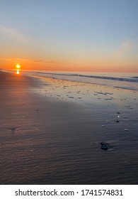 Easter 2020 At Jones Beach State Park