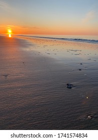 Easter 2020 At Jones Beach State Park