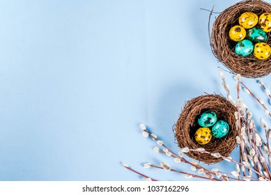 Easter background with bird's nests, with eggs and spring flowers pussy willow, blue background top view copy space - Shutterstock ID 1037162296