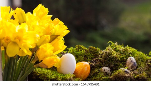 Natural Easter Images, Stock Photos & |