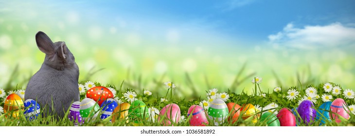 Easter background with Easter eggs and Easter bunny