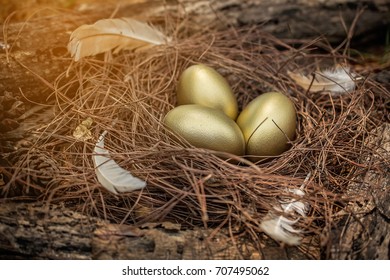 Easter background golden eggs, Golden eggs in nest on dark vintage wooden background - Powered by Shutterstock