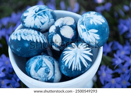 Easter background with naturally dyed blue, navy color and flower and plant white print Easter eggs. Red cabbage dye. Tradition in Eastern Europe, Latvia.