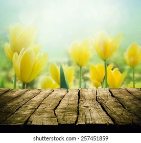 Easter Background With Tabletop. Spring Flowers Background. Wood Table With Tulips