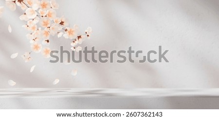 Easter background with white spring blossom and empty table with natural light. Easter holiday scene with white flowers and petals. Product placement podium mockup showroom.