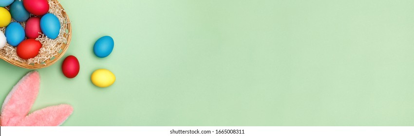 Easter basket with colored eggs and rabbit ears on a background of green mint. Copy space banner top view flat lay.