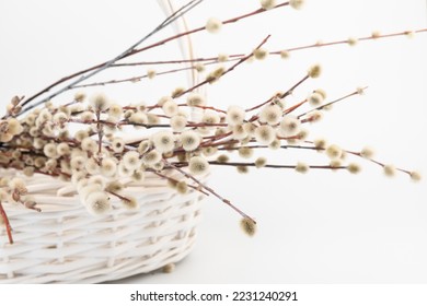 Easter basket with pussy willow tree branches on white background.  - Shutterstock ID 2231240291