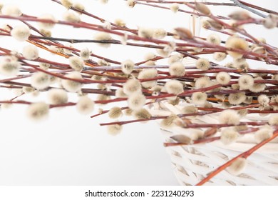 Easter basket with pussy willow tree branches on white background.  - Shutterstock ID 2231240293