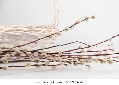 Easter basket with pussy willow tree branches on white background.  - Shutterstock ID 2231240295