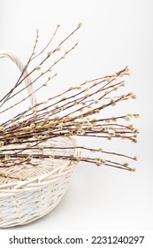 Easter basket with pussy willow tree branches on white background.  - Shutterstock ID 2231240297