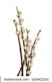 Easter branch of willow isolated on white. Vertical, top view, flat lay, for text - Shutterstock ID 1626422161