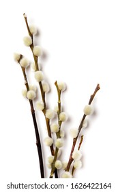 Easter branch of willow isolated on white. Vertical, top view, flat lay, for text - Shutterstock ID 1626422164