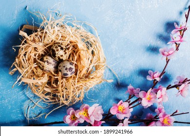 easter bucolic background with quail eggs nest - Shutterstock ID 1899241966
