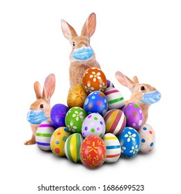Easter Bunnies or Easter Rabbits scared of Coronavirus or Covid-19 pandemic with surgical face masks hiding and peeking behind a pile of painted Easter Eggs for Easter Egg Hunt Game  - Shutterstock ID 1686699523
