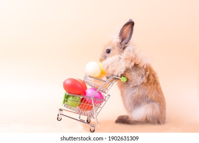 Easter bunny rabbit with egg in Shopping cart. Easter holiday sale. - Powered by Shutterstock