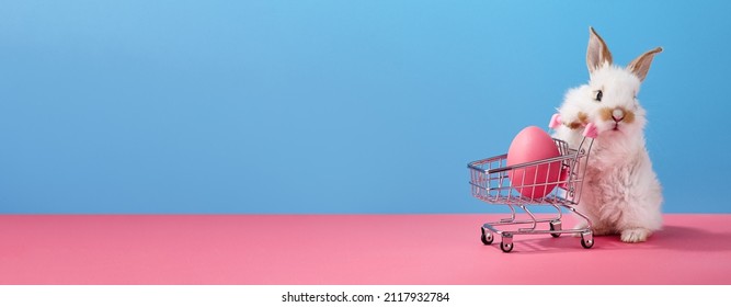 Easter Bunny Rabbit With Shopping Basket And Painted Egg, Copy Space