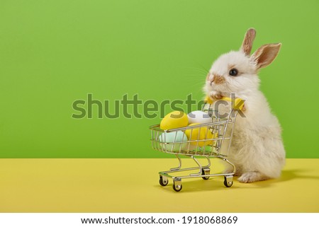 Easter bunny rabbit with shopping basket and sweet colorful eggs on green and yellow background