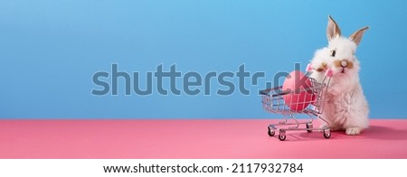 Easter bunny rabbit with shopping basket and painted egg, copy space