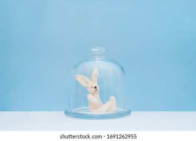 Easter bunny under a glass dome during a pandemic covid-19.