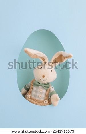 Easter bunny visible through egg-shaped hole on green background. Top view