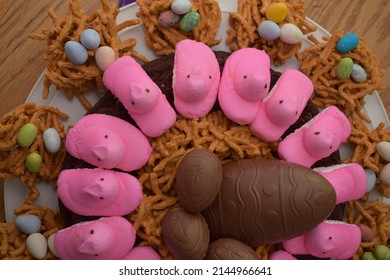 Easter Cake With Chocolate Birds Nest And Eggs, Holiday Celebrate Food