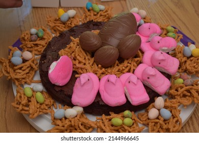 Easter Cake With Chocolate Birds Nest And Eggs, Holiday Celebrate Food