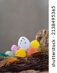 Easter  candy eggs in different colors in nest Easter holiday candy concept.