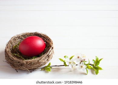 Easter Card, Nest With Red Egg And Blossoming Branch On White Wooden Background, Space For Text